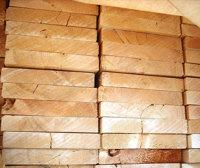 水城智利辐射松方木